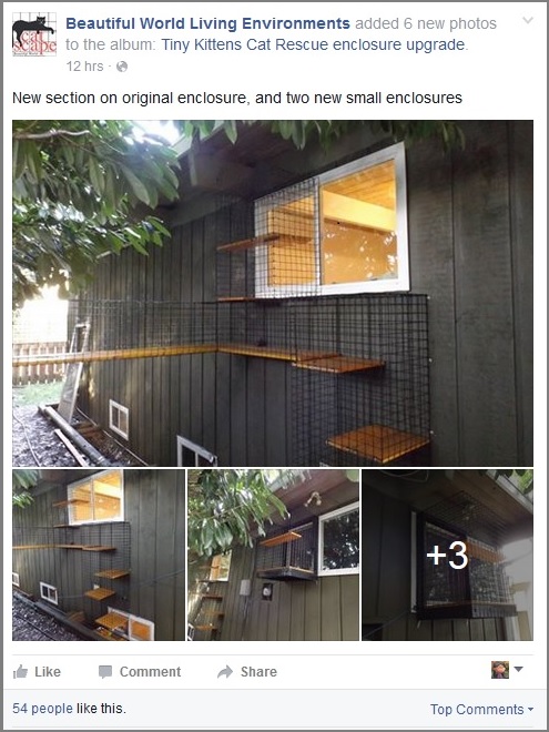 Snapshot of Better World Living Environments catio upgrades at TKHQ post -- click image to see photo album on their Facebook page